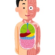 スタッフブログ