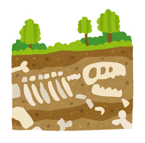 スタッフブログ