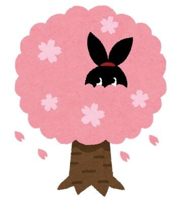 スタッフブログ